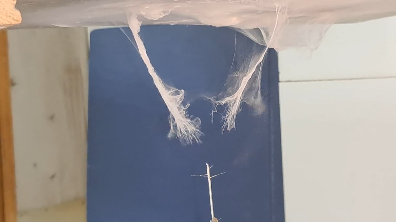 Electrospinning: Solutions of Polystyrene and Polyvinylidene Difluoride in Dimethylformamide